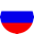 language flag